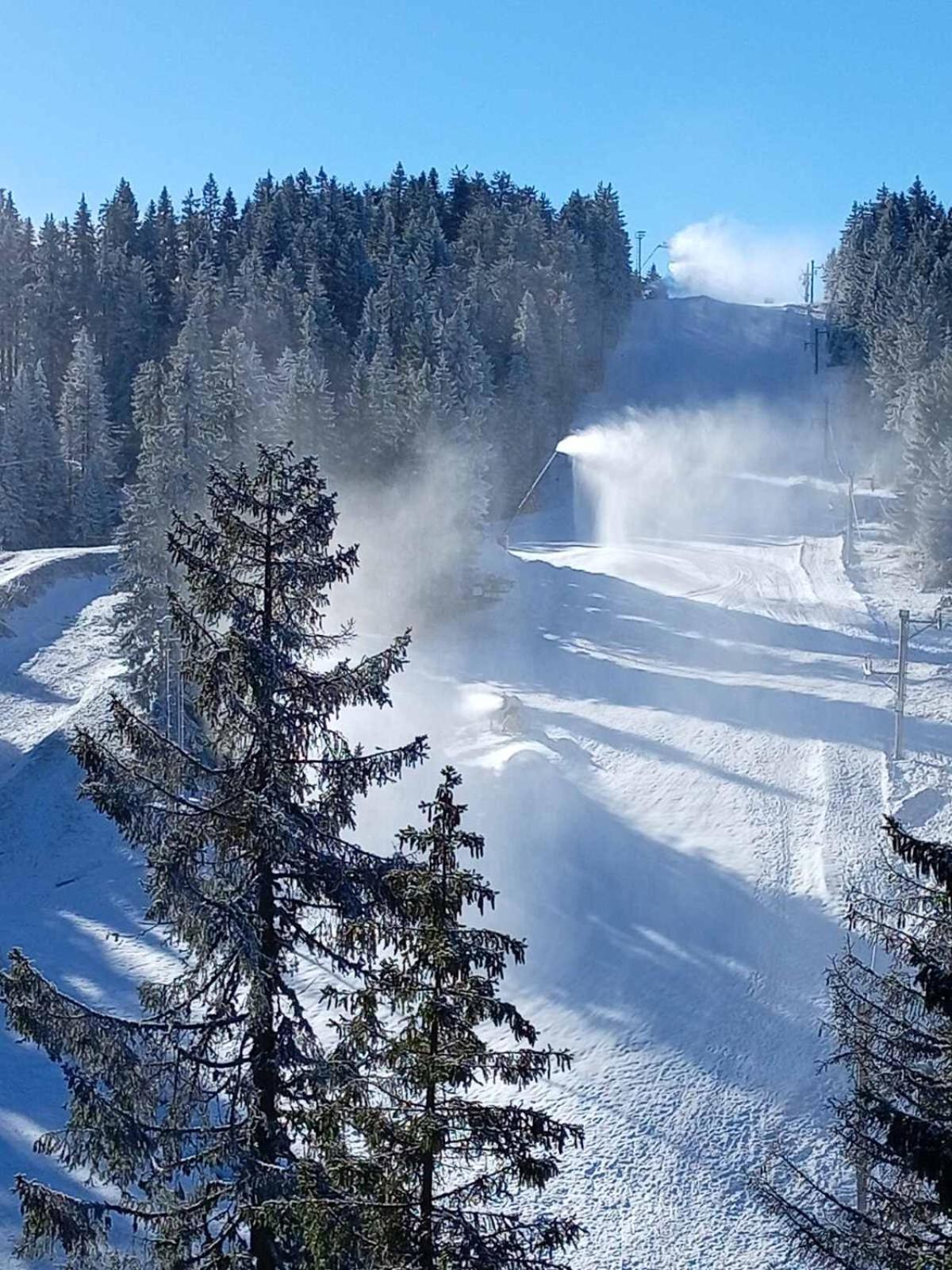 Woodside Woodside Apartments Kopaonik Free Parking & Spa , Free Ski Locker מראה חיצוני תמונה